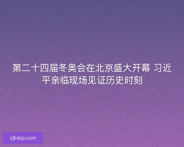 第二十四届冬奥会在北京盛大开幕 习近平亲临现场见证历史时刻 第二十四届冬奥会在北京盛大开幕 习近平亲临现场见证历史时刻